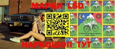 мдпв Кингисепп