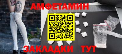 мдпв Кингисепп