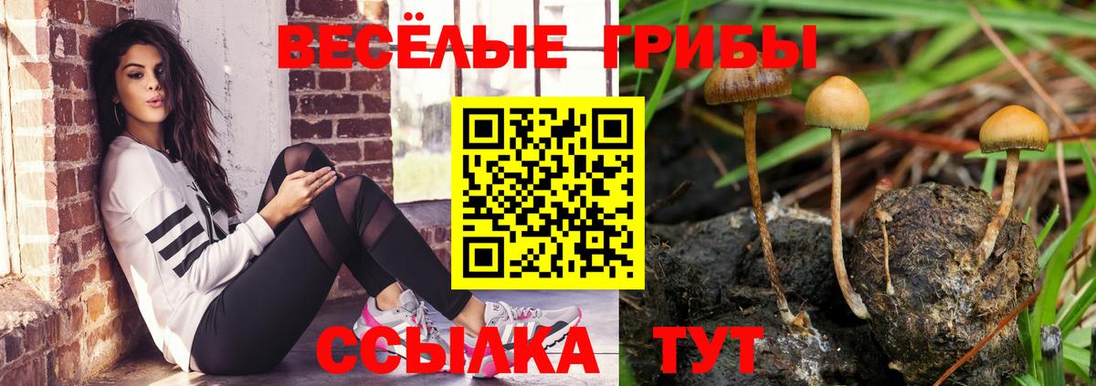 Галлюциногенные грибы MAGIC MUSHROOMS  Галлюциногенные грибы Cubensis  Барабинск  наркошоп  Вход с VPN 
